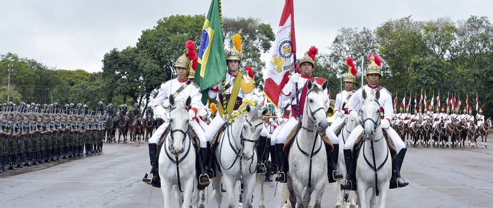 A Cavalaria da Independência: O Papel Essencial dos Cavalos na Formação do Brasil Livre